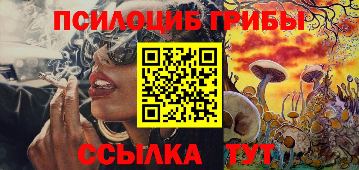 Клин  Псилоцибиновые грибы Psilocybine cubensis  закладки  Вход с VPN  Галлюциногенные грибы Psilocybine cubensis 