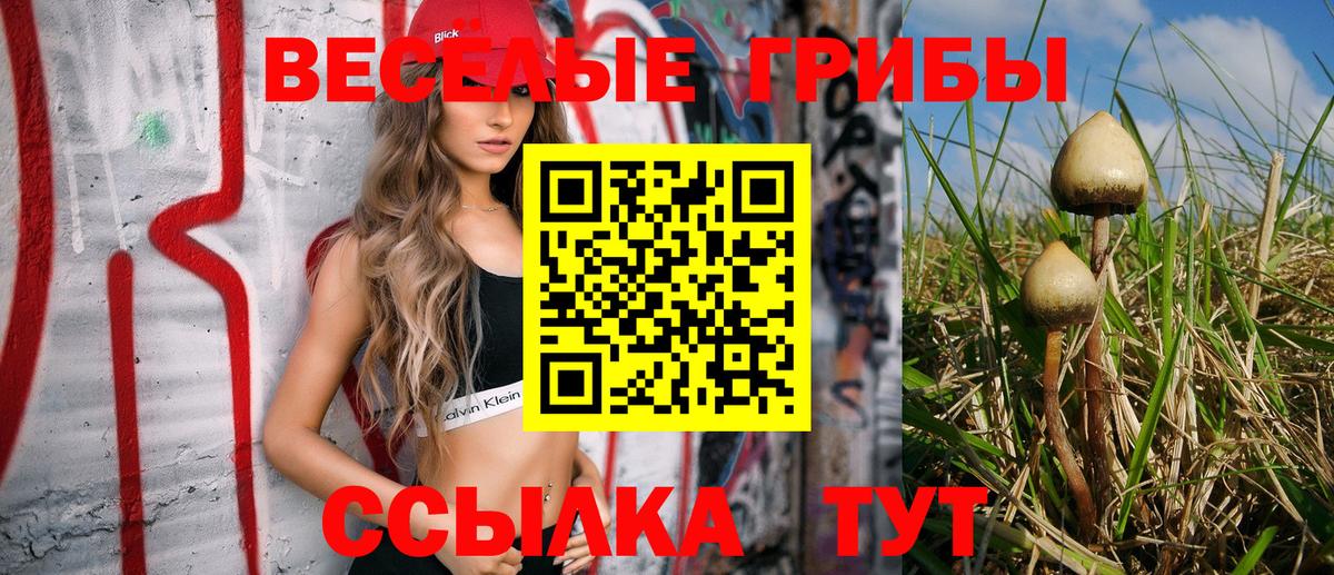 Галлюциногенные грибы Psilocybe Клин